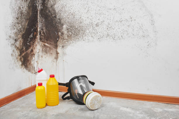 Best HVAC Mold Remediation in Helper, UT