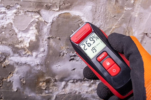 Best Commercial Mold Remediation in Helper, UT