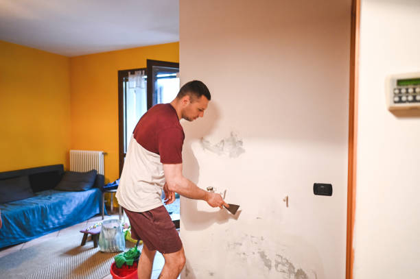 Best Mold Testing and Inspection Services in Helper, UT